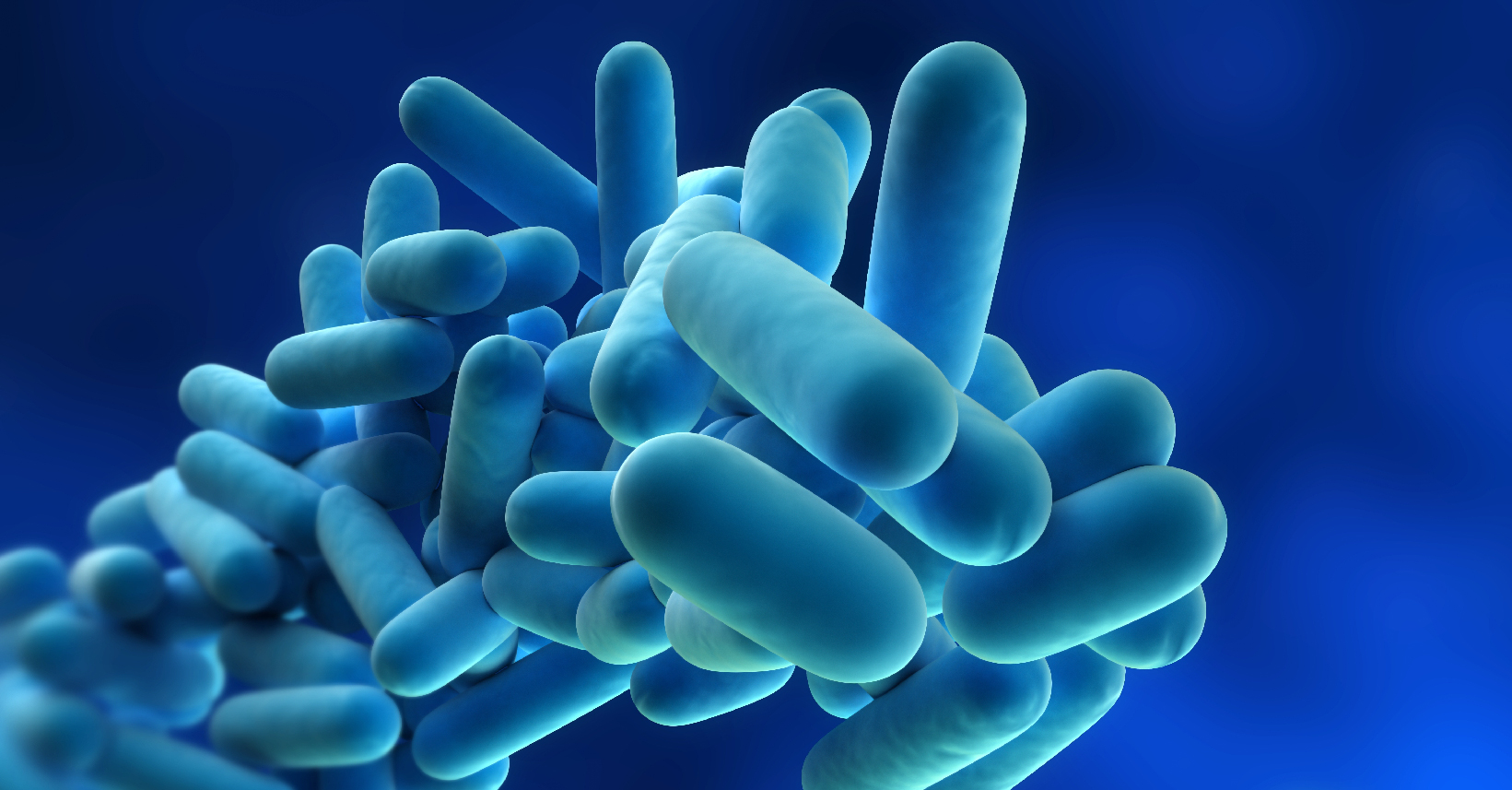 [NUOVO CORSO] 🦠 Rischio Legionella: prevenzione e manutenzione impianti